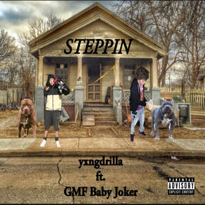STEPPIN
