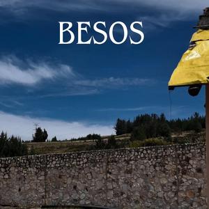 BESOS