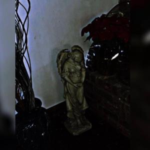 Suicide and the City