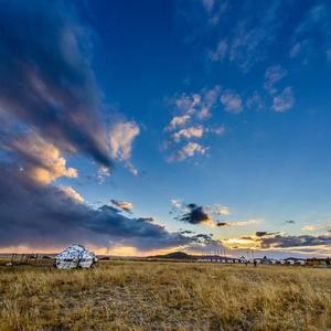 亲亲我的草原(热搜版)