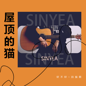 屋顶的猫