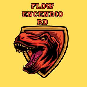 flow encendio rd