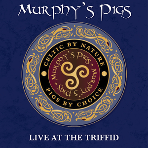 The Fields of Athenry (Live)