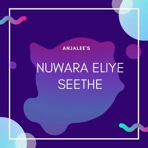 Nuwara Eliye Seethe (The Trip Song), Album : Daesin