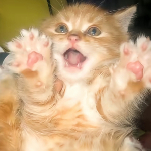 疼痛是成长的偏旁