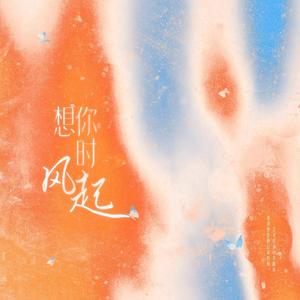 想你时风起 男生版