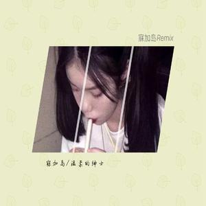 寐加岛《真心爱过给错人（DJ版）》