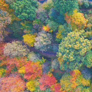 微妙的河流与溪流心情