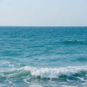 小路的海洋春天