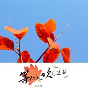 等秋风吹走过往