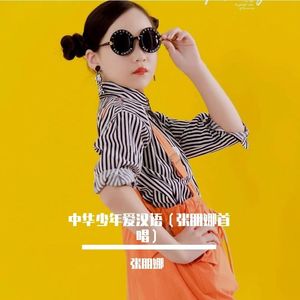 中华少年爱汉语