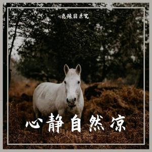 《June Barcarolle Op.37 No.6》-Vladimir Ashkenazy-1