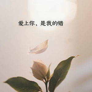 爱上你，是我的错