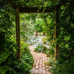 适合在家工作有文化的音乐