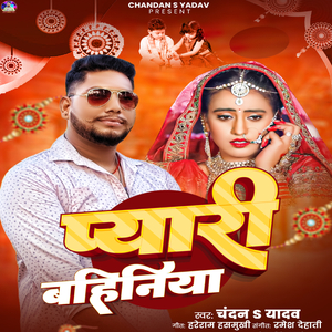 Pyari Bahiniya