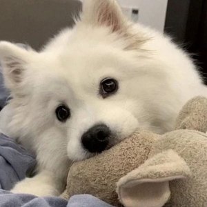 小京东-兜兜转转（宝藏girl_栀海 remix）