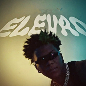 Elevao