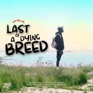 Somebody (feat. Just_skay)