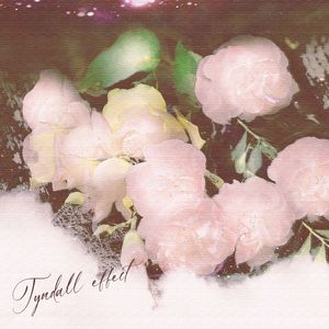 变成意识体后我们水灵灵地相爱了（Prod By AZYAIRE）