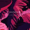 S4M - Sonder