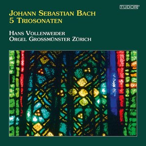 Organ Sonata No. 4 in E Minor, BWV 528 "Trio Sonata":II. Andante