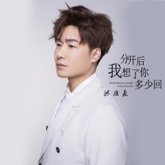 分开后我想了你多少回 (DJ沈念版)
