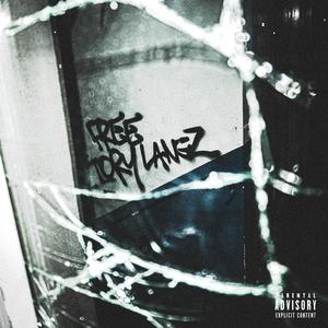 FREETORYLANEZ