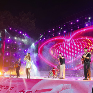 稳稳地幸福（口琴+吉他）（罗教练GF remix）