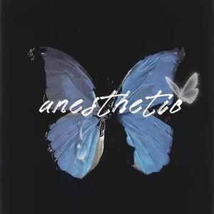 Anesthetic（Prod.by 牙刷）