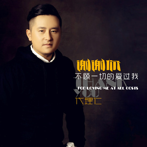 谢谢你不顾一切的爱过我 (伴奏)