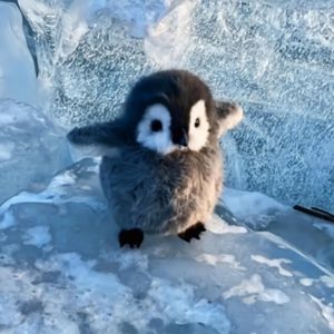 期待着你的出现