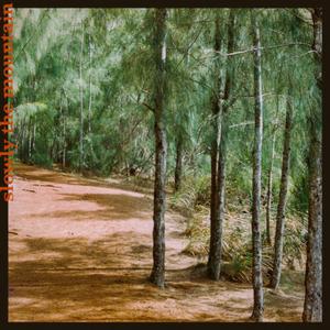 ‘Ehukai Descent - 28 °C