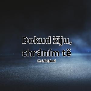 Dokud žiju, chráním tě