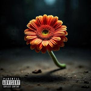 Sin voltear pa atrás (feat. Bengache Delgadillo)