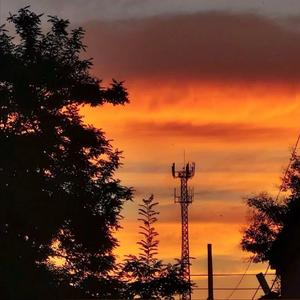 精致的野猪男孩儿