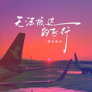 无法抵达的飞行
