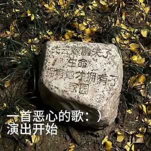 一首恶心的歌：）演出开始