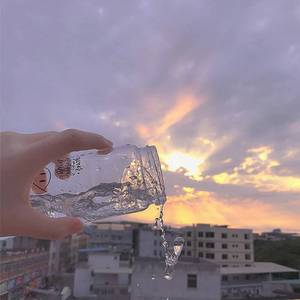 蜜蜂