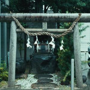 who knows (piano cover)