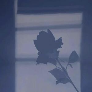 再见吧，喵小姐