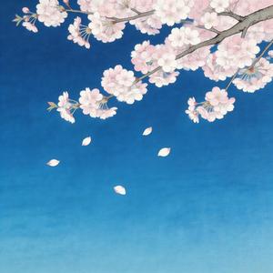 退出（我退出恋人的身份）