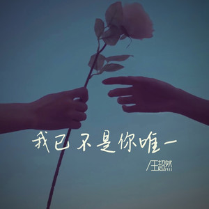 我已不是你唯一
