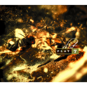 サン・ムーン・スター