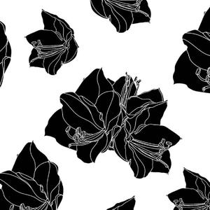 百合（Flower Love）