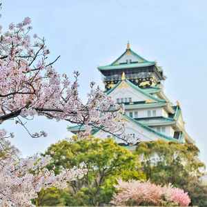 纯音乐治愈.桃花渡 (口琴)