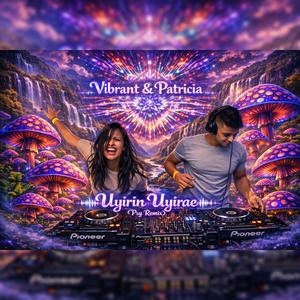 Uyerin Uyeri psy (remix)
