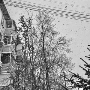 Проснувшись утром