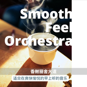 Rebirth of a Quiet Mind