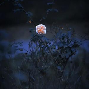 圆满（Prod：EVOMUSIC）