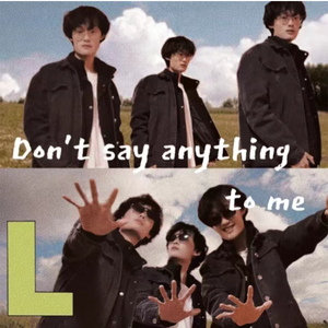 Don't say anything to me (Leestin remix）